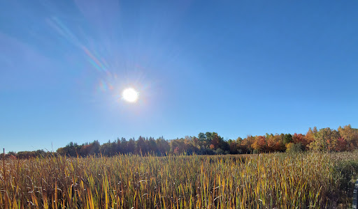 Photo of Laurier Woods Conservation Area - Brule St, North Bay, ON P1A 3Z5